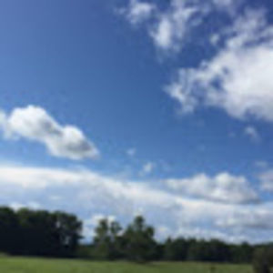 Meet your Posher, Suzanne